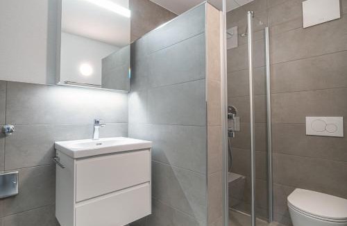 Schaffhausen Apartment | CITY-LOFT 1!Gratis parken, Free parking!