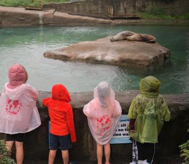 Donegal Bed & Breakfast | Clara's Cots