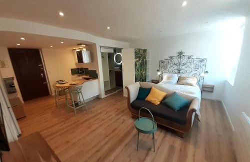 Centre Ville Apartment | Classé 3 Etoiles IDEAL VIENNE Centre ville 20 min de LYON