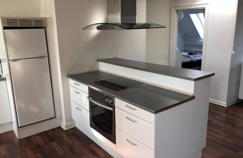 Frederiksberg C Condo | Classic Brownstone Apartments and Rooms