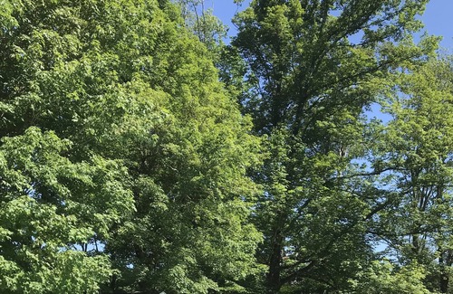 White Lake House | Classic Catskills Farmhouse with wood stove