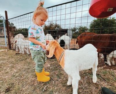 Glen Rose House | Cliffside Cabin @ High Hope Ranch Cowboy POOL!