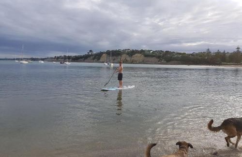 Torbay Apartment | Close to beach