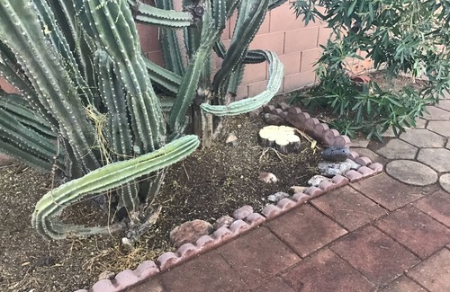 Apache Junction House | Close to Superstition Mountains Wilderness and Lost Dutchman State Park