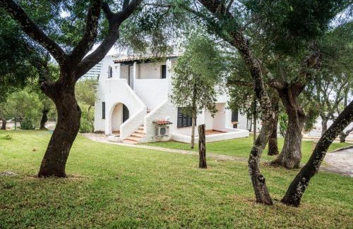 Calas de Mallorca Apartment | Club Cala Domingos