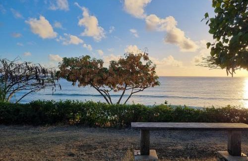 Atlantic Shores Apartment | Coastal View7 # 2 Apt