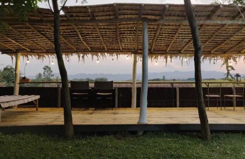 Nong Bua House | Coco Coozy