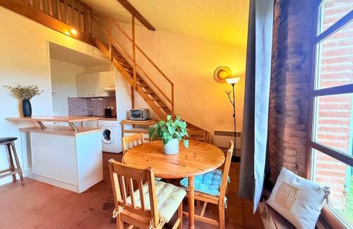 Villemur-sur-Tarn Apartment | Cocon paisible et confortable.