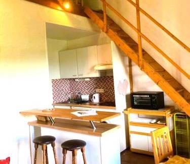 Villemur-sur-Tarn Apartment | Cocon paisible et confortable.