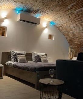 Saint-Cyprien Apartment | Cocon Romantique avec Sauna Voûte Toulousaine