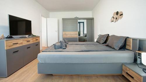 Studentski Grad Apartment | College Flat - Wi-Fi with 600 Mbit speed