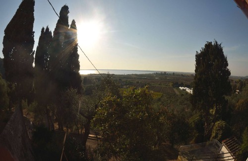 Massarosa Other | Collina Lagomare - Massarosa ,Tuscany