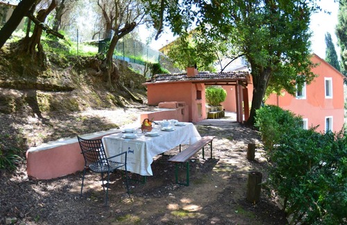 Massarosa Other | Collina Lagomare - Massarosa ,Tuscany