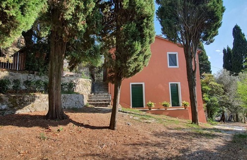 Massarosa Other | Collina Lagomare - Massarosa ,Tuscany