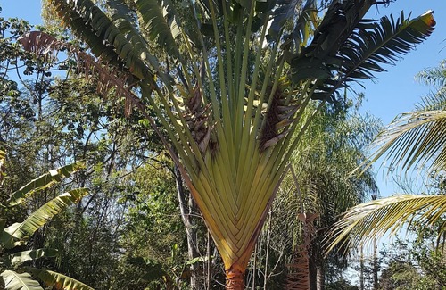 Aregua House | Colonial house in a rural area, on the edge of the capital, ranch vacation, ...