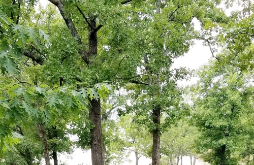 Eufaula House | Come stay with Us! Lake front!