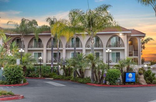 Escondido Hotel | Comfort Inn Escondido San Diego North County