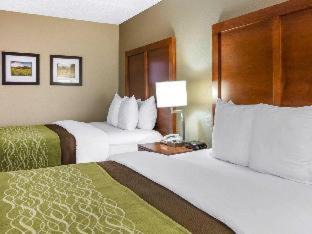 Matthews Hotel | Comfort Inn Matthews/Charlotte