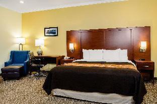 Monterey Hotel | Comfort Inn Monterey Peninsula Airport