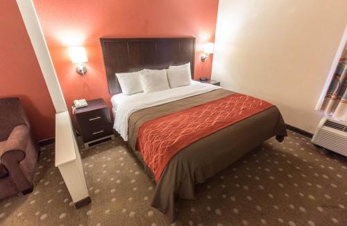 South Hills Hotel | Comfort Inn Pittsburgh Crafton