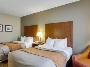 Bellevue Hotel | Comfort Inn & Suites Bellevue - Omaha Offutt AFB
