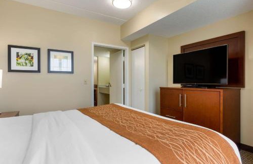 Cordele Hotel | Comfort Inn & Suites Cordele
