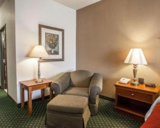 Quad Cities Hotel | Comfort Inn & Suites Davenport - Quad Cities