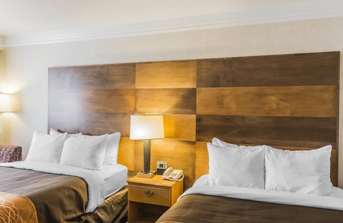 Durango Hotel | Comfort Inn & Suites Durango