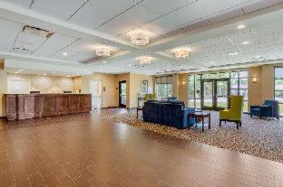 Florence Hotel | Comfort Inn & Suites Florence Center Area