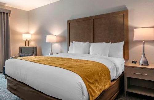 Westside Hotel | Comfort Inn & Suites Jacksonville - Orange Park Near Naval Air Station