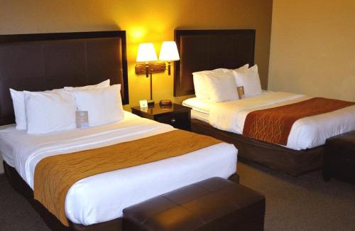 Lincoln City Hotel | Comfort Inn & Suites Lincoln City