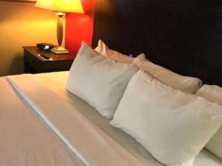 Morton Hotel | Comfort Inn & Suites Morton - Peoria