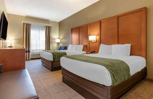 Orangeburg Hotel | Comfort Inn & Suites Orangeburg