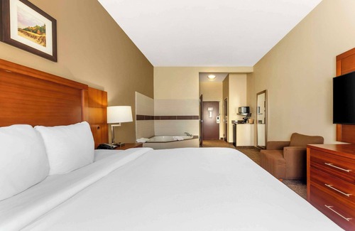Porter Hotel | Comfort Inn & Suites Porter near Indiana Dunes