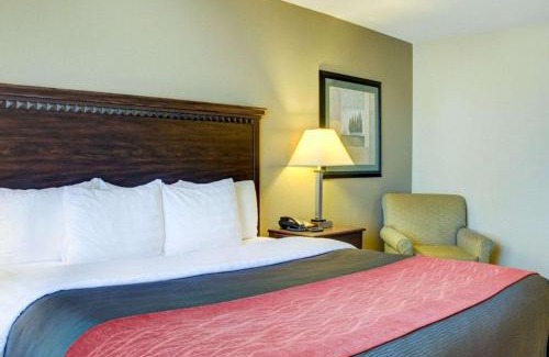 Russellville Hotel | Comfort Inn & Suites Russellville I-40