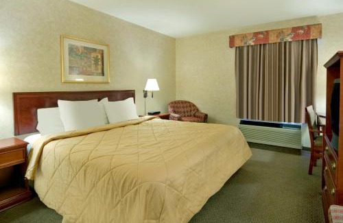 Banff Trail Hotel | Comfort Inn & Suites University