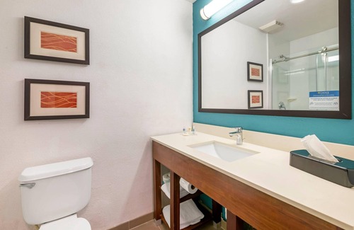 Survey Creek Hotel | Comfort Inn & Suites Fort Lauderdale West Turnpike