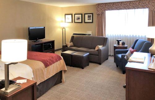 Farmington Hills Hotel | Comfort Inn