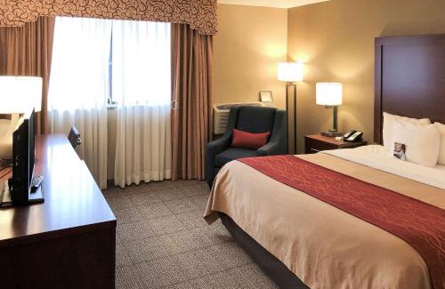 Farmington Hills Hotel | Comfort Inn
