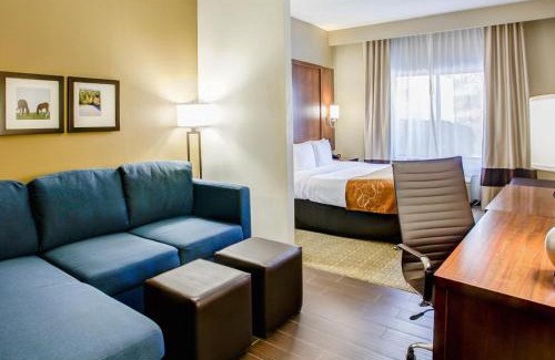 Georgetown Hotel | Comfort Suites Georgetown