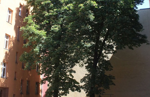 West Pomeranian Voivodeship Apartment | Comfortable 3-room apartment in the city center In January extra discount from 10 days !
