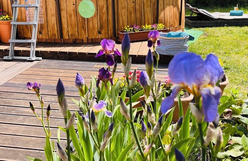 Nowe Guty House | Comfortable all-year-round house with garden next to Śniardwy Lake beach.