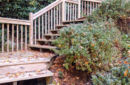 Boone Cottage | Comfy mountain cabin