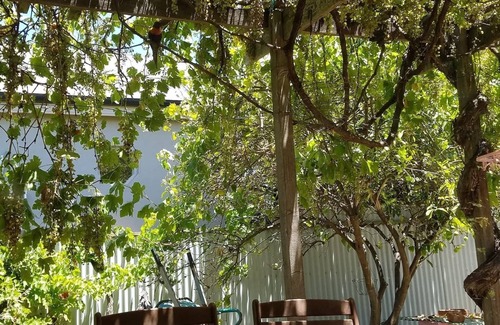Fitzroy House | COMFY SPACIOUS 5BED HERITAGE HOME10MIN 2CBD