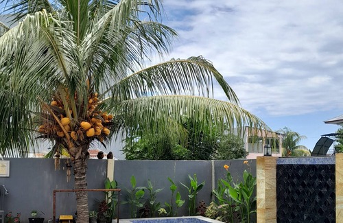 Labuan Bajo Bed & Breakfast | Coming to see the komodo Dragons