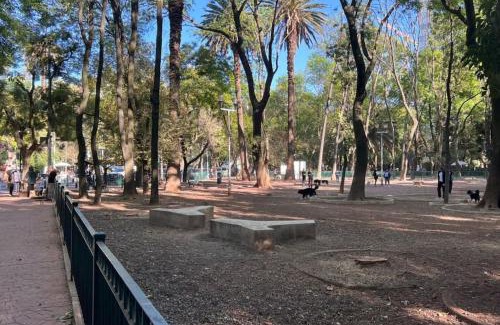 Hipodromo Apartment | Condesa Residence Amsterdam E Cozy Living Space in the Heart of the City on Amsterdam Avenue