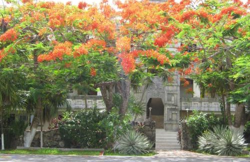 San Miguel Apartment | Condumel