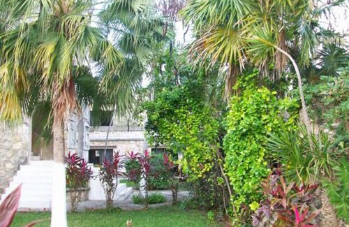 San Miguel Apartment | Condumel