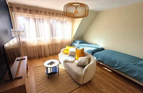 Saverne Apartment | Confortable Spacieux Grand Rue - Garage