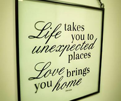 Bigorrilho Apartment | Conforto Studio próximo do Barigui, Garden